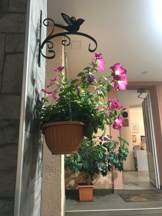 White Rose Guest Rooms Burgas ภายนอก รูปภาพ
